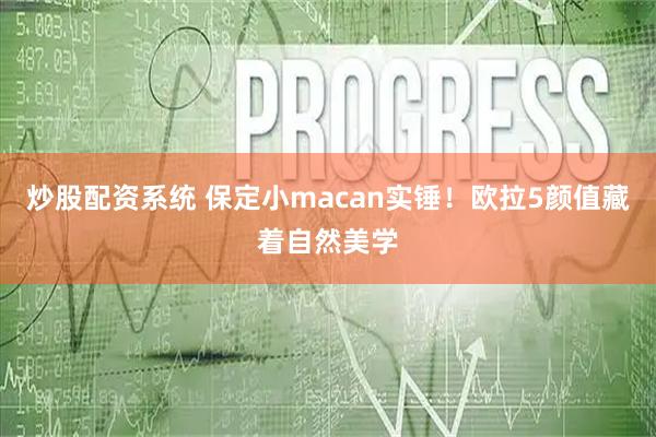 炒股配资系统 保定小macan实锤！欧拉5颜值藏着自然美学