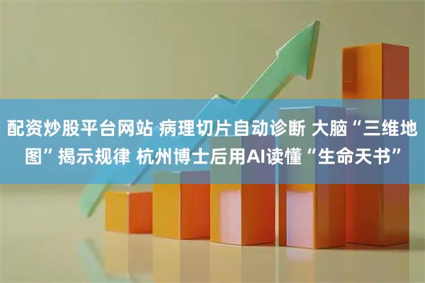 配资炒股平台网站 病理切片自动诊断 大脑“三维地图”揭示规律 杭州博士后用AI读懂“生命天书”